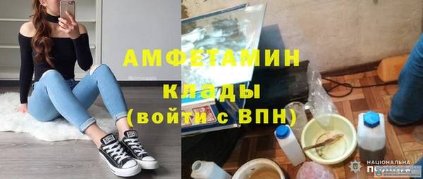 ПСИЛОЦИБИНОВЫЕ ГРИБЫ Арсеньев