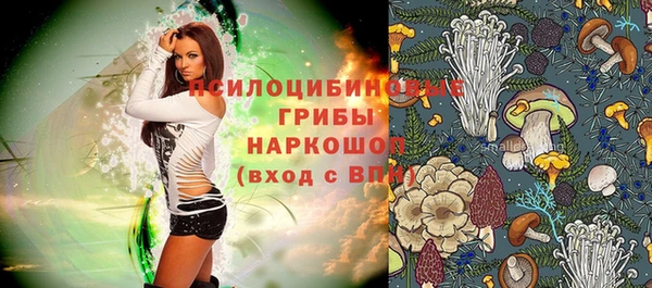 ПСИЛОЦИБИНОВЫЕ ГРИБЫ Арсеньев