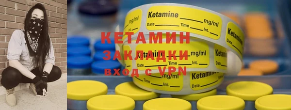 шишки Аркадак