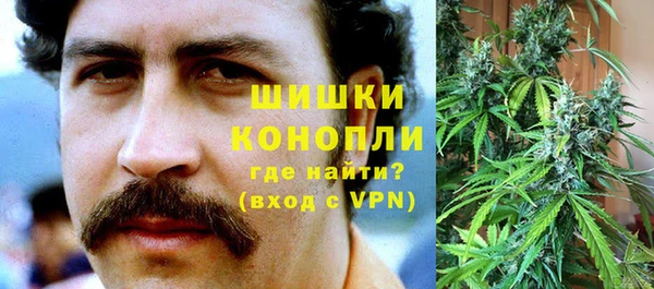 шишки Аркадак
