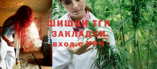шишки Аркадак