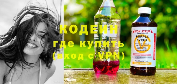 ПСИЛОЦИБИНОВЫЕ ГРИБЫ Арсеньев