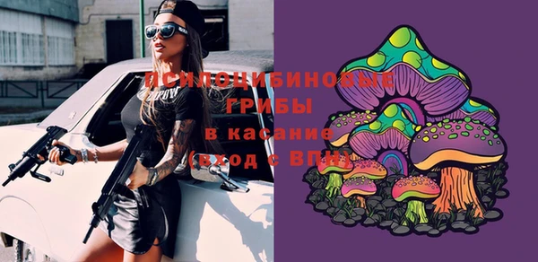 шишки Аркадак