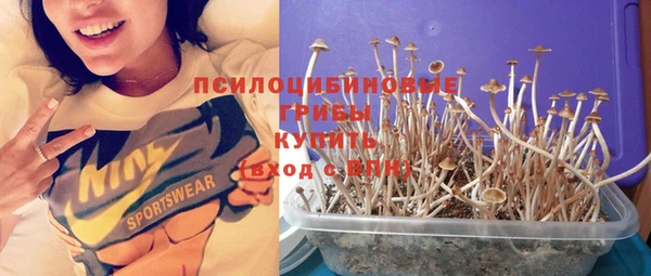 ПСИЛОЦИБИНОВЫЕ ГРИБЫ Арсеньев