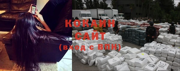 шишки Аркадак