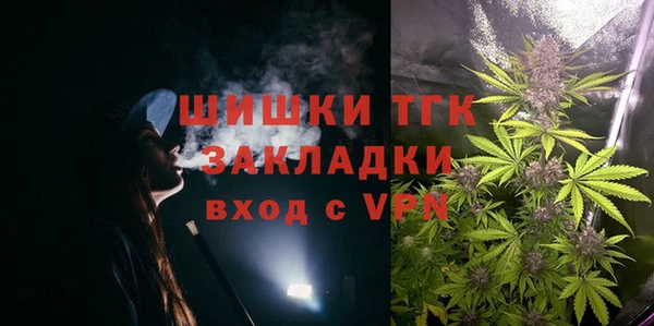 шишки Аркадак