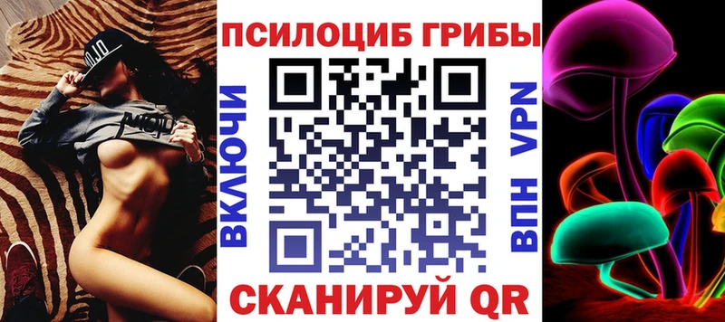 кракен как зайти  Вилюйск  Псилоцибиновые грибы мухоморы 